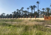 Villa con terreno en venta en la España, Elche, ref: TR399150 foto