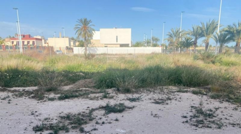 Alicante - Elche - 250m2