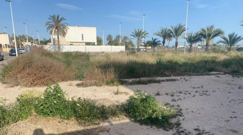Alicante - Elche - 250m2