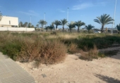 Villa con terreno en venta en la España, Elche, ref: TR399150 foto