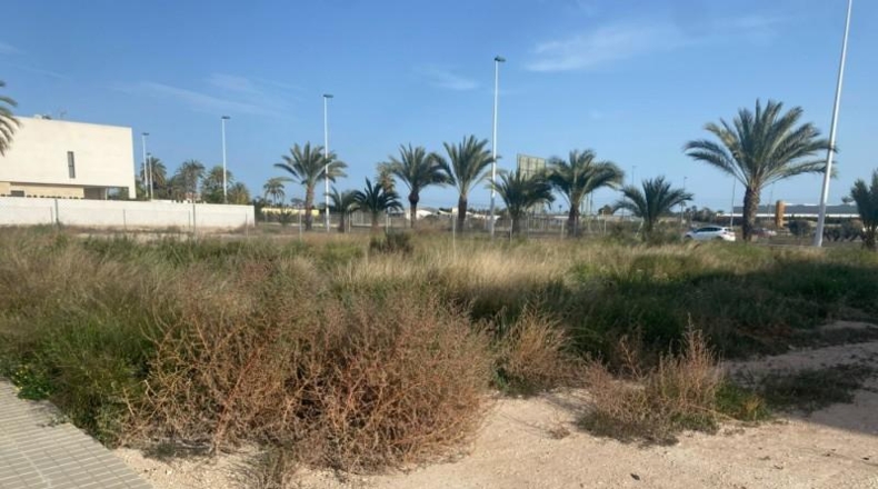 Alicante - Elche - 250m2
