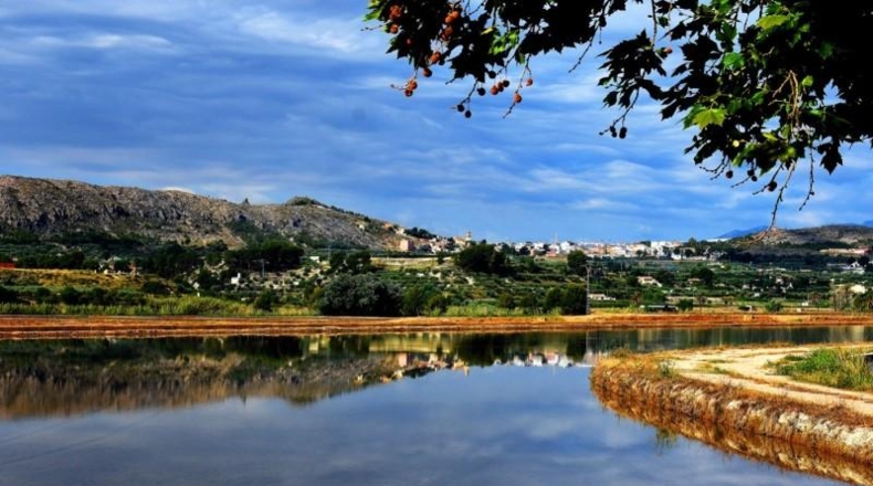Murcia - Calasparra - 1000m2