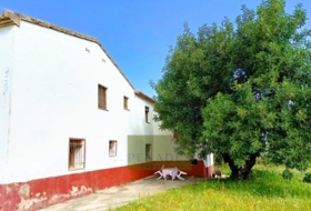 Ontinyent 777&nbsp;м²