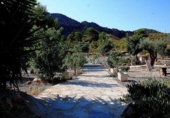 Casa de campo con terreno en venta en la España, Murcia, ref: TR366221 foto