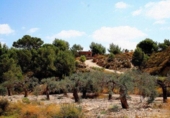 Casa de campo con terreno en venta en la España, Murcia, ref: TR366221 foto