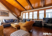 Chalet independiente con terreno en venta en la España, Castellar del Vallès, ref: TR394799 foto