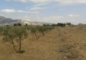 Parcel·la urbanitzable en venda a Alhama de Murcia ref.: TR404604 foto