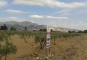 Parcel·la urbanitzable en venda a Alhama de Murcia ref.: TR404604 foto