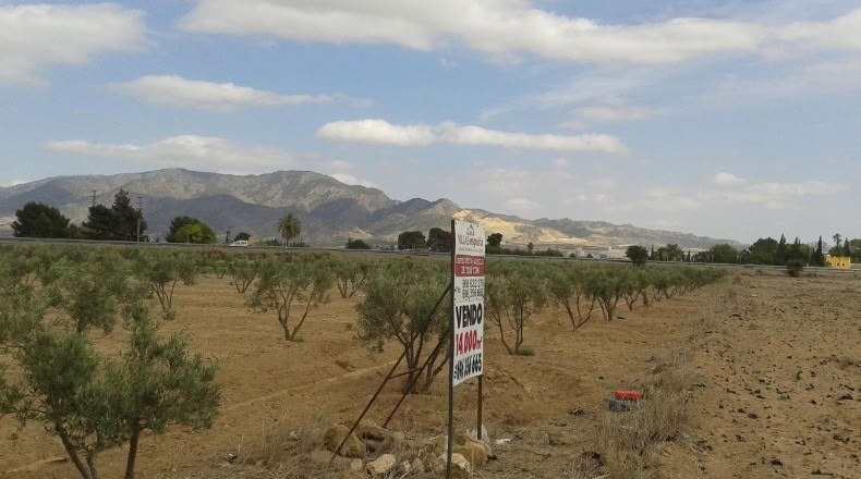 Murcia - Alhama de Murcia - 13975m2