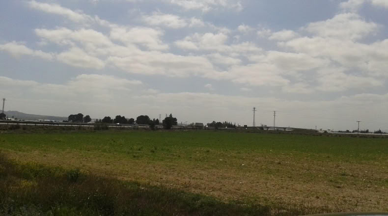 Murcia - Alhama de Murcia - 13975m2