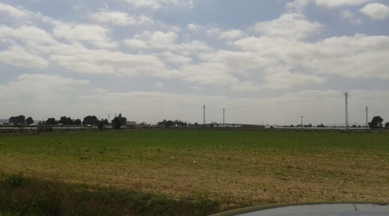 Murcia - Alhama de Murcia - 13975m2