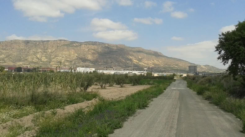 Murcia - Alhama de Murcia - 13975m2