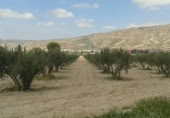 Parcel·la urbanitzable en venda a Alhama de Murcia ref.: TR404604 foto