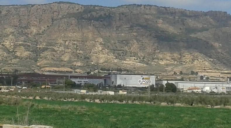 Murcia - Alhama de Murcia - 13975m2