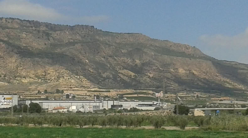 Murcia - Alhama de Murcia - 13975m2