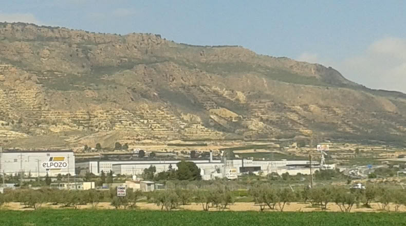 Murcia - Alhama de Murcia - 13975m2
