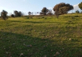 Parcel·la urbanitzable en venda a la España, Badajoz, ref.: TR393075 foto