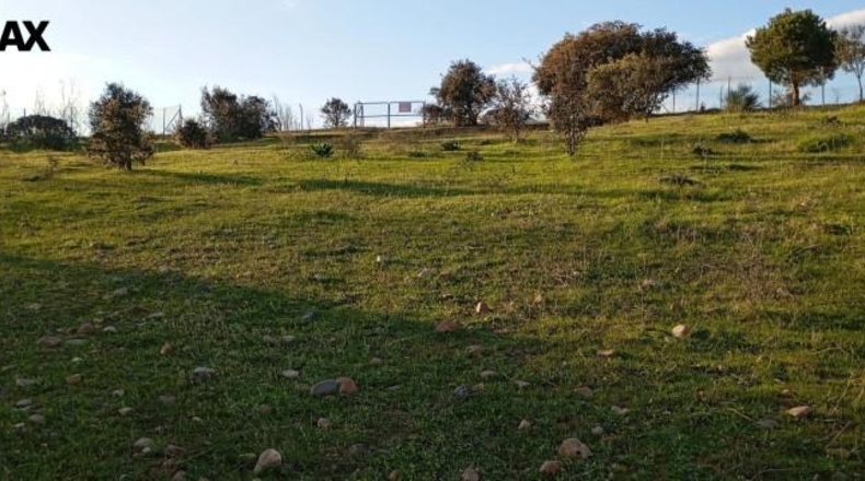 Badajoz - Badajoz - 25000m2
