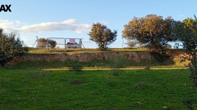 Badajoz - Badajoz - 25000m2