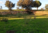 Parcel·la urbanitzable en venda a la España, Badajoz, ref.: TR393075 foto