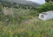 Casa de camp amb terreny en venda a la España, Ontinyent, ref.: TR404622 foto
