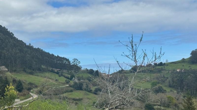 Astúries - Villaviciosa - 2199m2