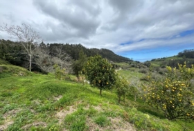 Villaviciosa 2199&nbsp;m²