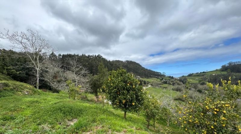 Astúries - Villaviciosa - 2199m2