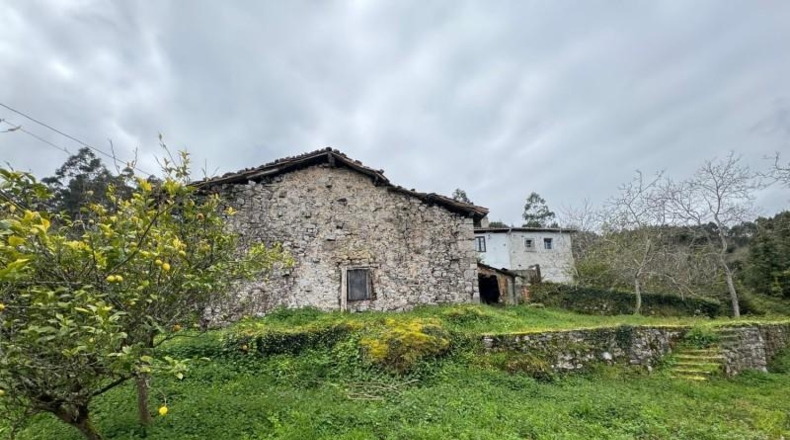 Astúries - Villaviciosa - 2199m2