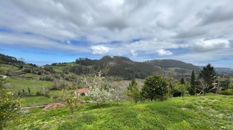 Astúries - Villaviciosa - 2199m2