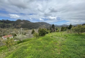 Villaviciosa 2199&nbsp;m²