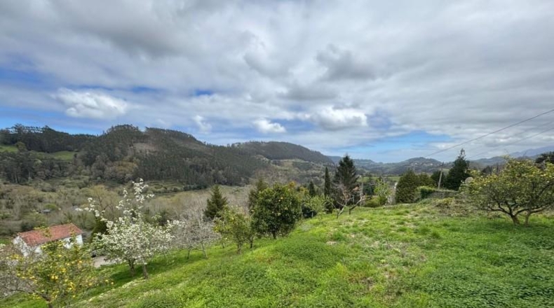Astúries - Villaviciosa - 2199m2