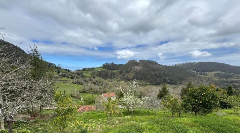Astúries - Villaviciosa - 2199m2