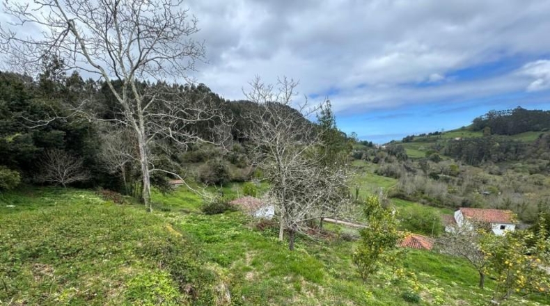 Astúries - Villaviciosa - 2199m2