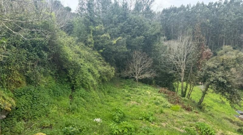 Astúries - Villaviciosa - 2199m2
