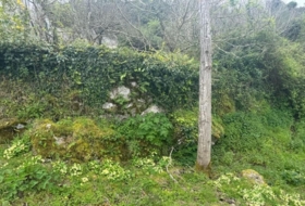 Villaviciosa 2199&nbsp;m²