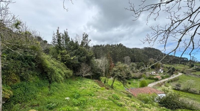 Astúries - Villaviciosa - 2199m2