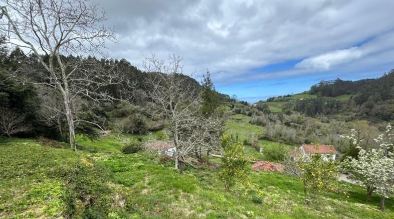 Astúries - Villaviciosa - 2199m2