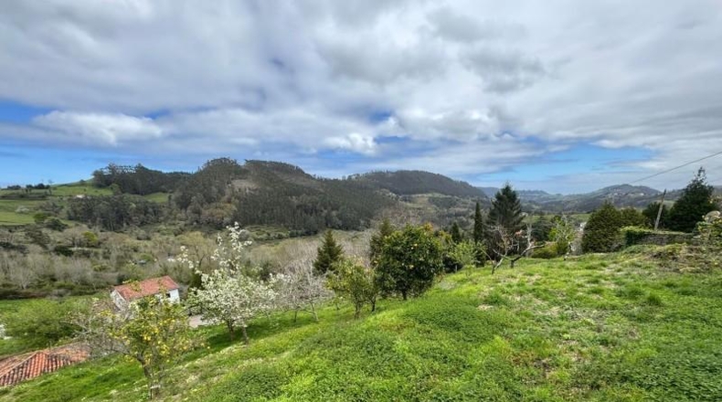 Astúries - Villaviciosa - 2199m2