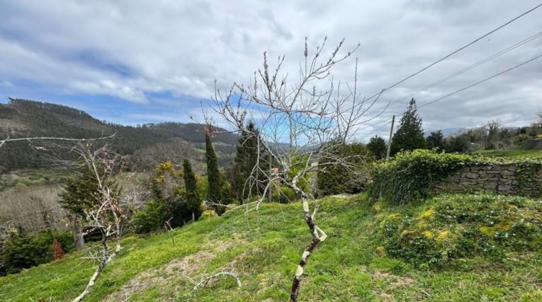 Astúries - Villaviciosa - 2199m2