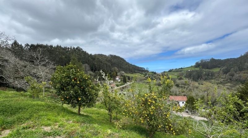 Astúries - Villaviciosa - 2199m2