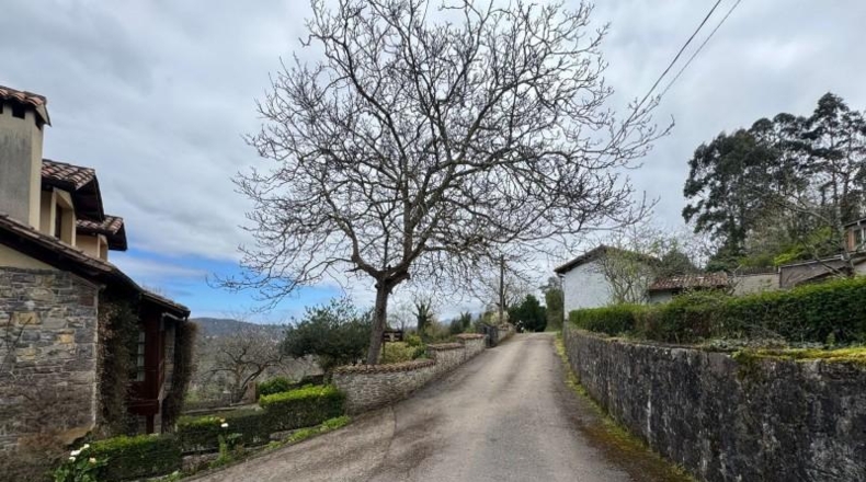 Astúries - Villaviciosa - 2199m2