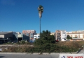 Parcel·la urbanitzable en venda a la España, Borriana, ref.: TR118962 foto