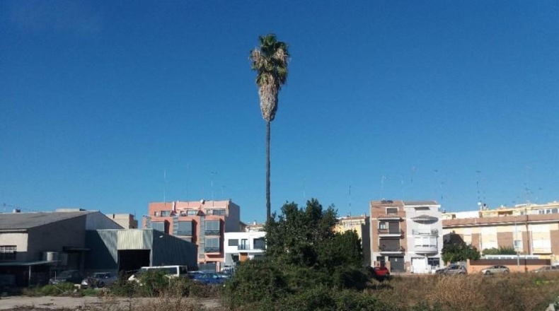 Castellón - Burriana - 1000m2