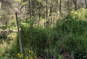 Sant Quintí de Mediona 2299&nbsp;m²