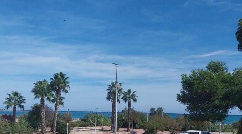 Castellón - Burriana - 300m2