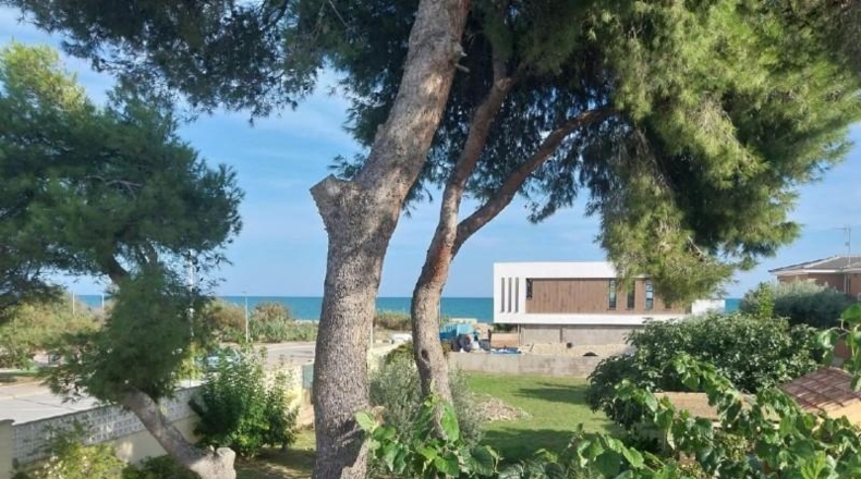 Castellón - Burriana - 300m2
