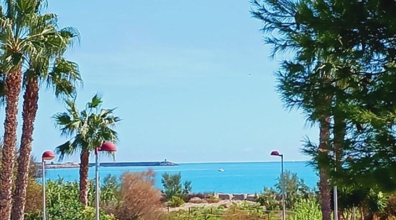 Castellón - Burriana - 300m2