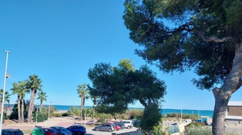Castellón - Burriana - 300m2