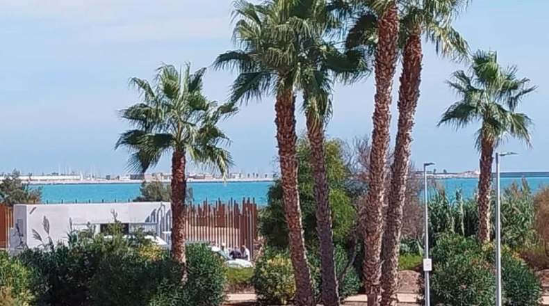 Castellón - Burriana - 300m2
